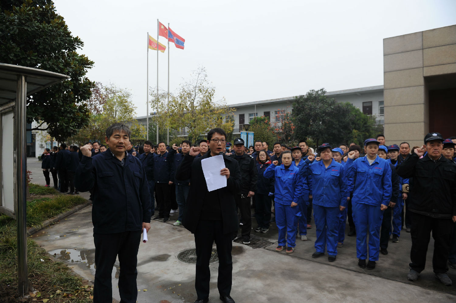 DSC_6733_看图王.jpg DSC_6733_看图王.jpg